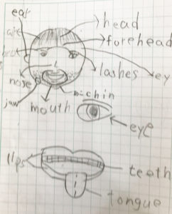 単語ばっかり学習中。