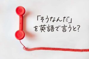 そうなんだ